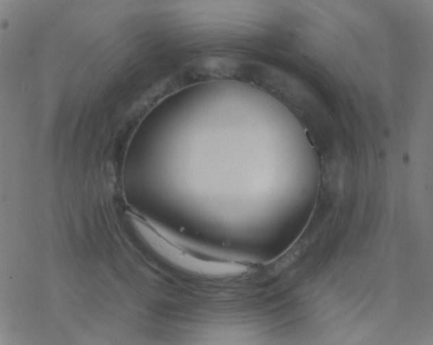 X0000077360752200611101639