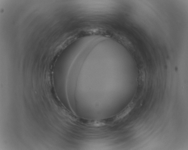 X0000077360754200611101639