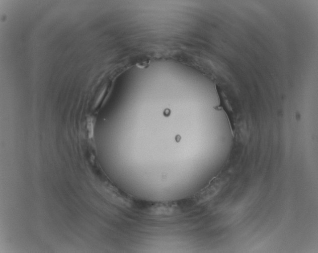 X0000077360756200611101639