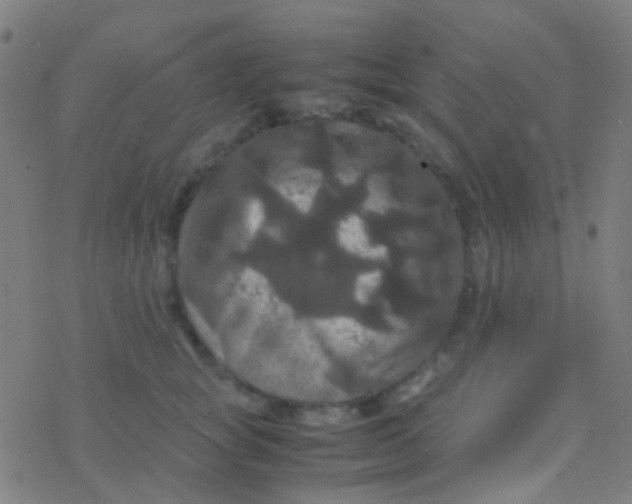 X0000077360757200611101639