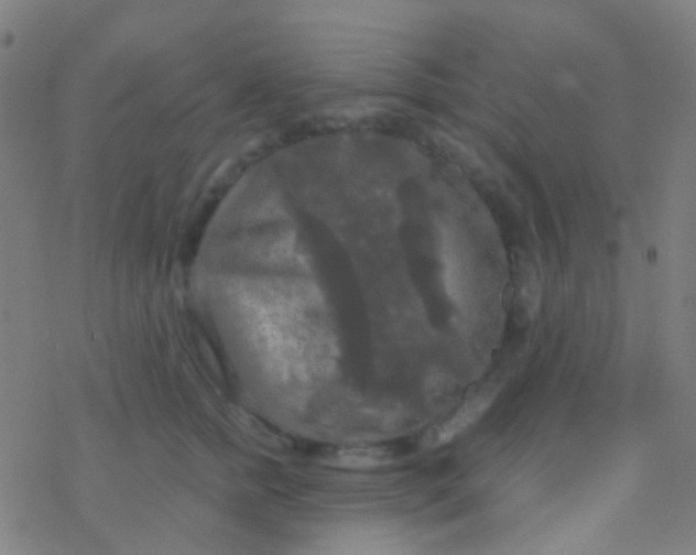 X0000077360758200611101639