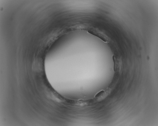 X0000077360760200611101639