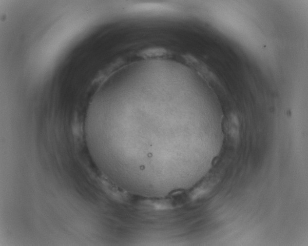 X0000077360763200611101639