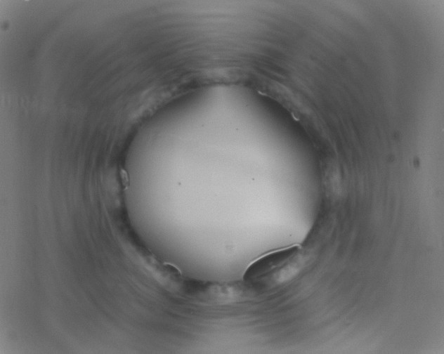 X0000077360764200611101639