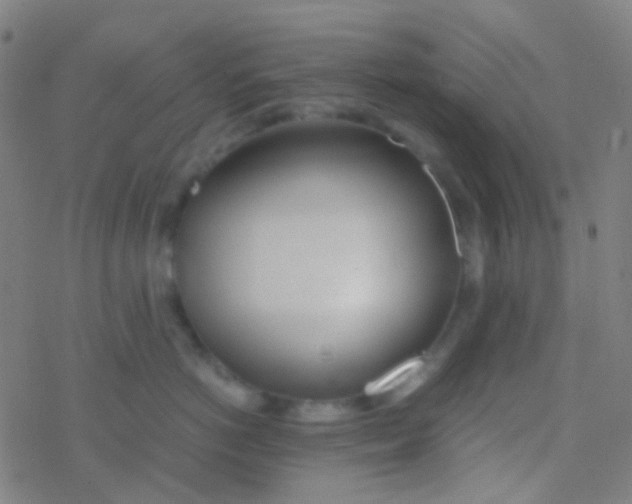 X0000077360766200611101639