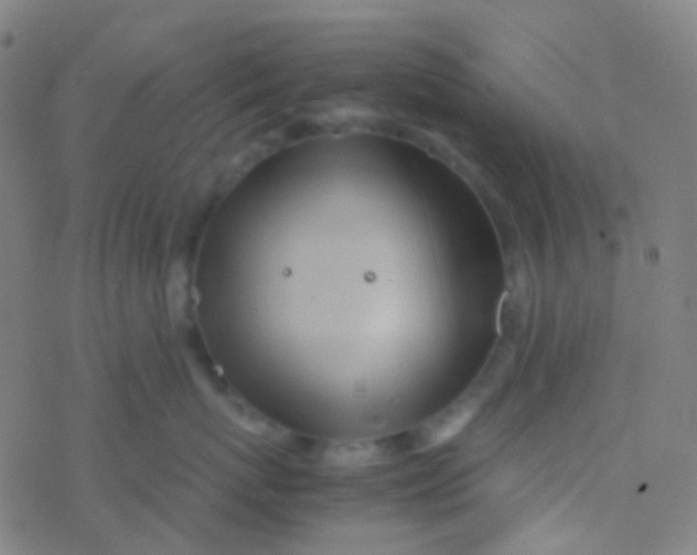 X0000077360767200611101639