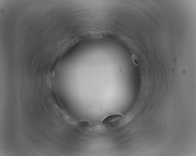 X0000077360768200611101639