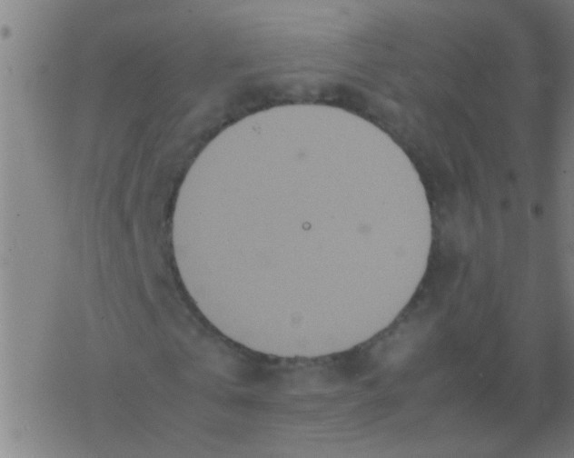 X0000077360769200611101638