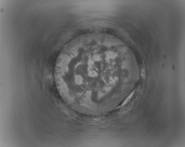 X0000077360771200611101638