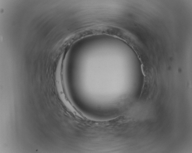 X0000077360773200611101638