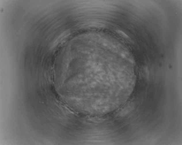 X0000077360774200611101638