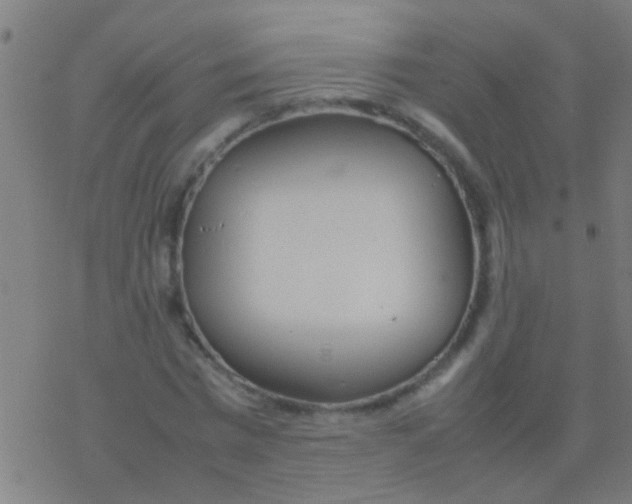 X0000077360777200611101638