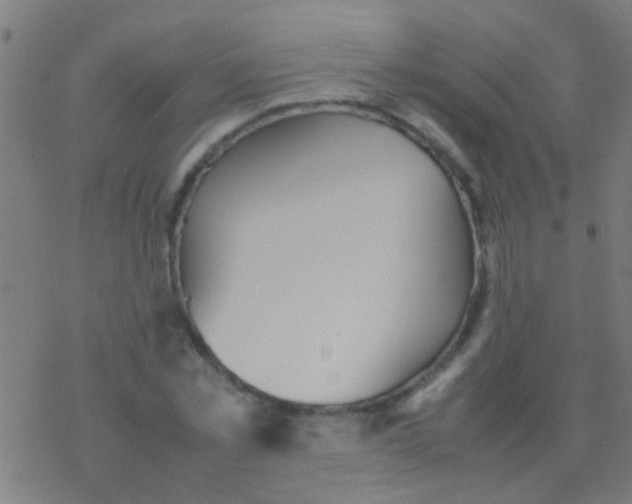 X0000077360781200611101638