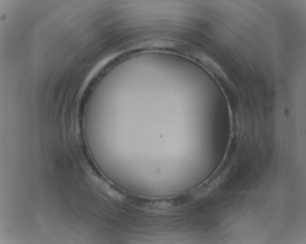 X0000077360784200611101638