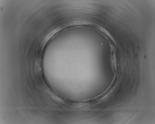 X0000077360786200611101638