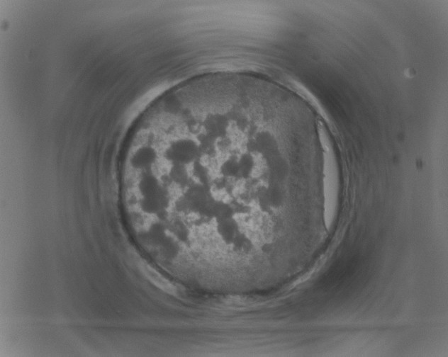 X0000077360787200611101638