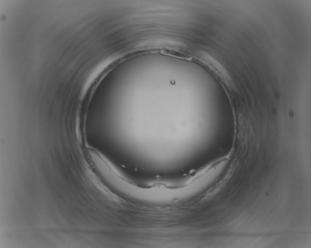 X0000077360788200611101638