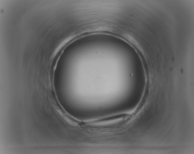 X0000077360789200611101638