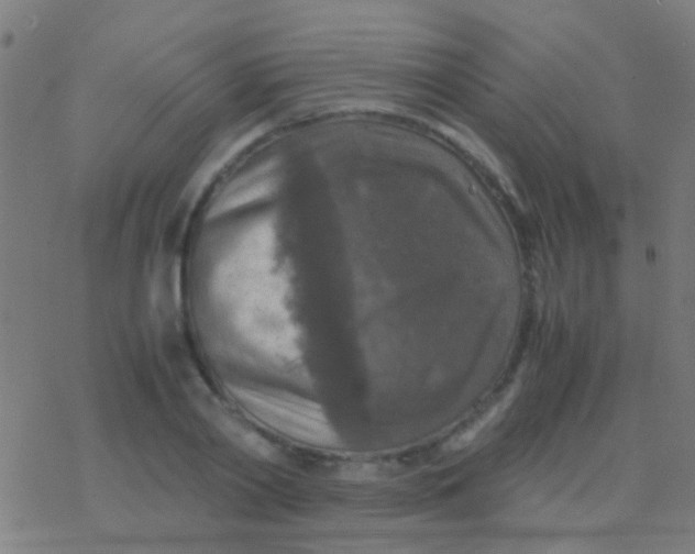 X0000077360790200611101638