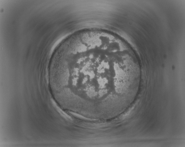 X0000077360791200611101638