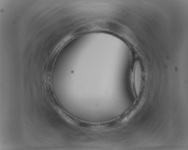 X0000077360793200611101638