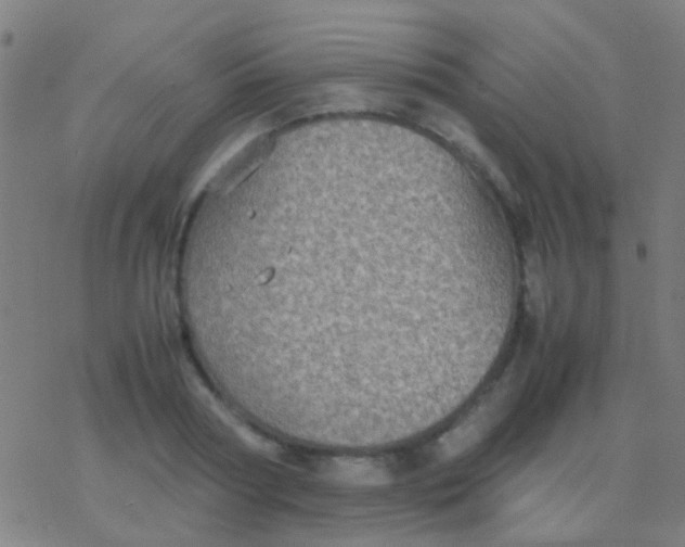 X0000077360794200611101638