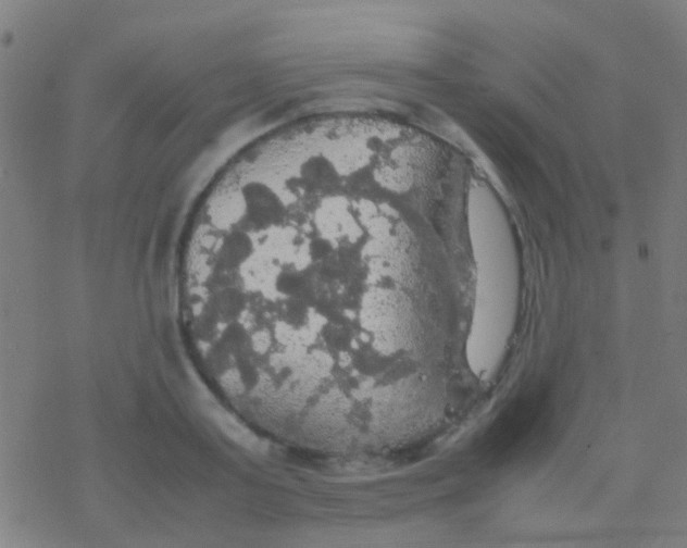 X0000077360795200611101638