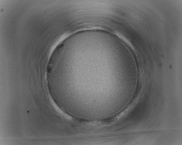 X0000077360797200611101638