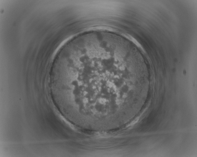 X0000077360799200611101638