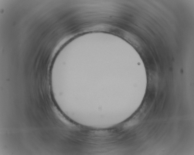 X0000077360800200611101638