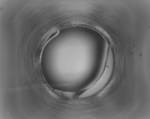 X0000077360801200611101638