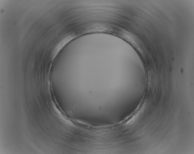 X0000077360802200611101638