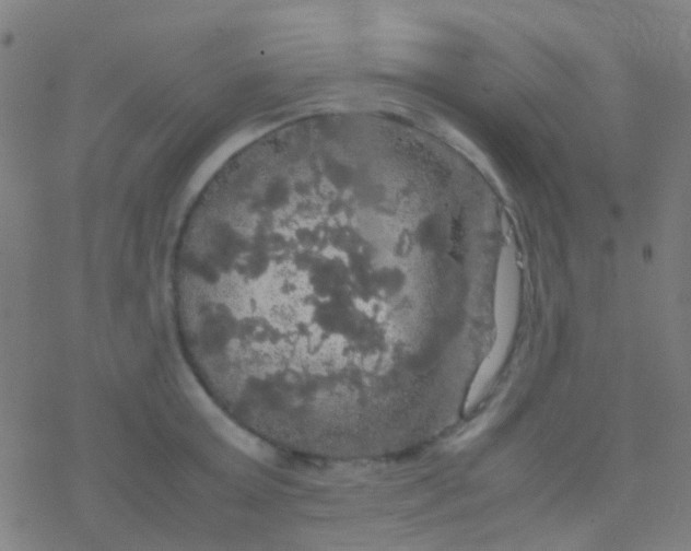 X0000077360803200611101638