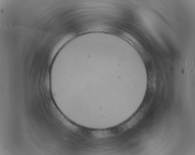 X0000077360804200611101638