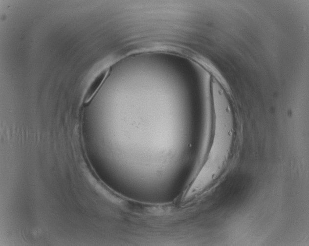 X0000077360805200611101638