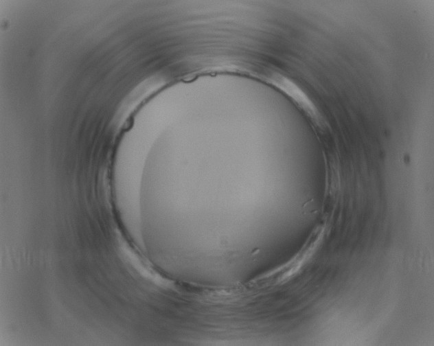 X0000077360806200611101638