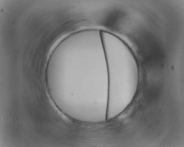 X0000077360807200611101637