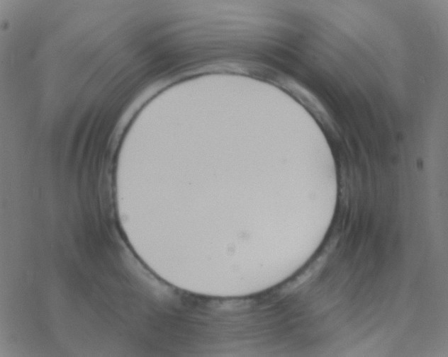 X0000077360808200611101637