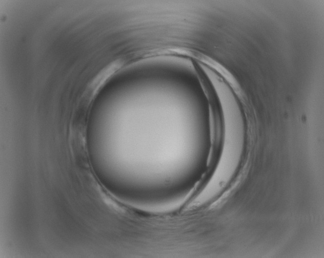 X0000077360809200611101637