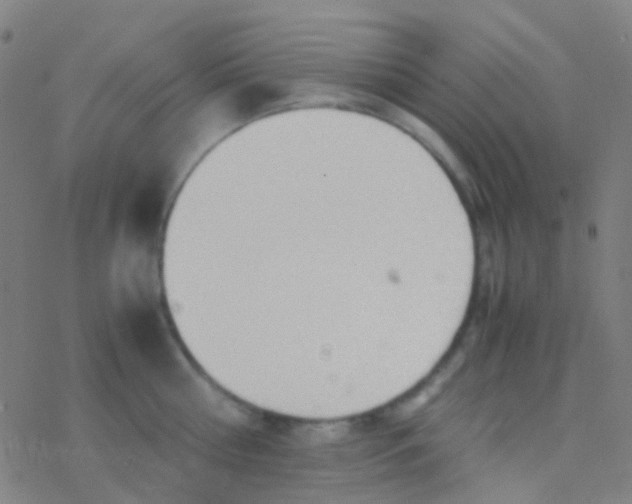 X0000077360810200611101637