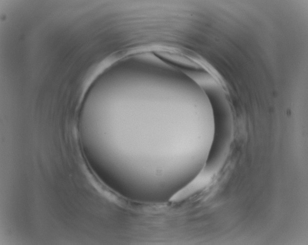 X0000077360813200611101637