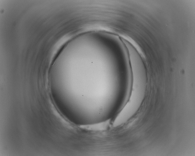 X0000077360815200611101637