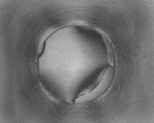 X0000077360816200611101637