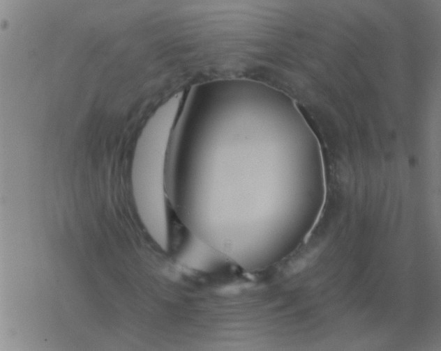 X0000077360818200611101637