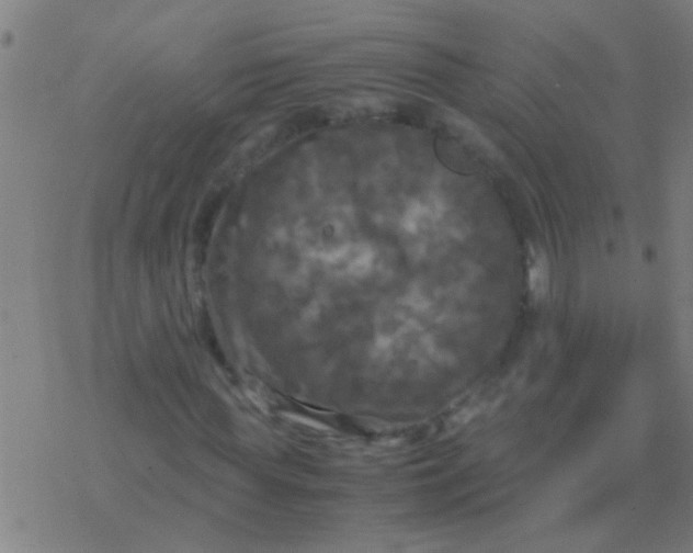 X0000077360819200611101637