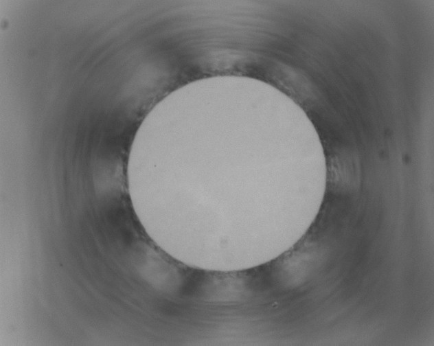 X0000077360820200611101637