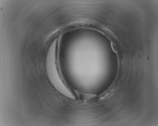 X0000077360822200611101637