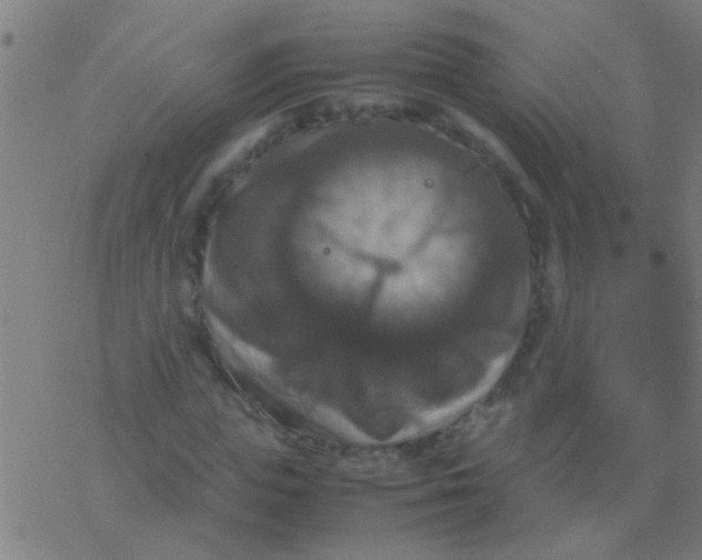 X0000077360823200611101637