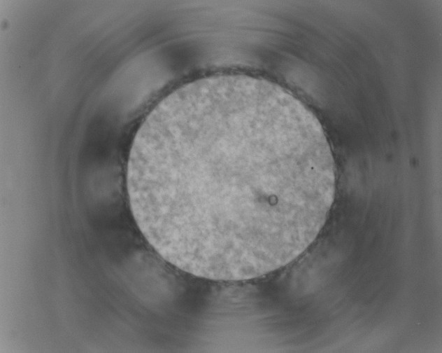 X0000077360824200611101637