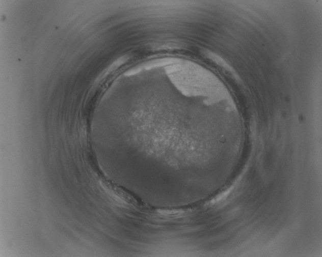 X0000077360825200611101637